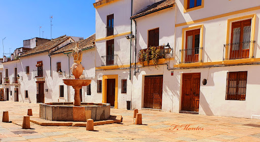 Mesón Terraza José