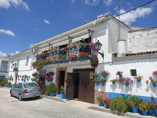 Barrio ANDALUZ "HUERTO DEL FRANCÉS"