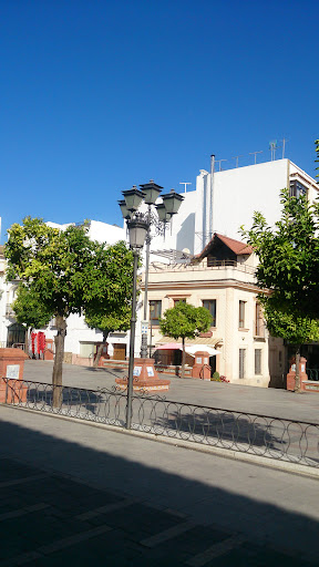 El Paseo Bar
