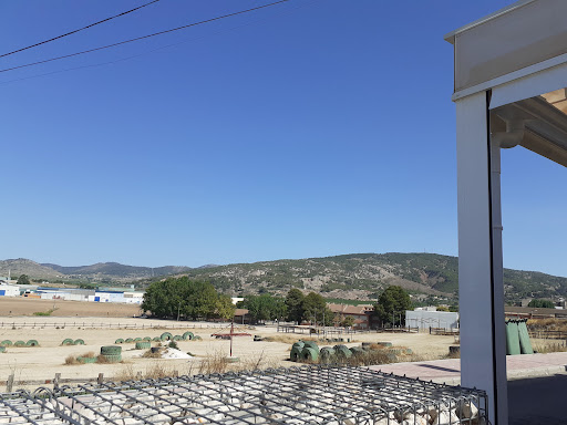 Restaurante Sanctuary